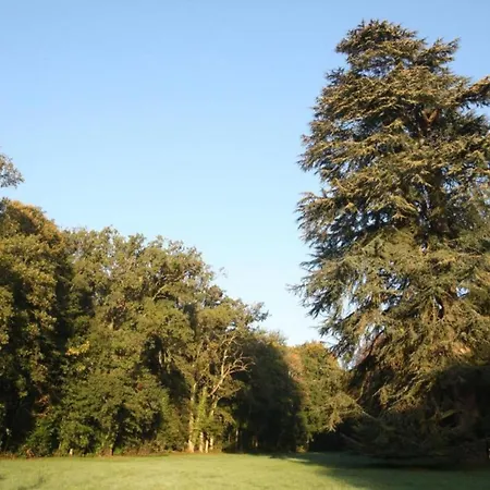 Holiday home Historic Saint-aignan By Saint-Aignan (Sarthe)