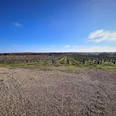 Historic Saint-aignan By *