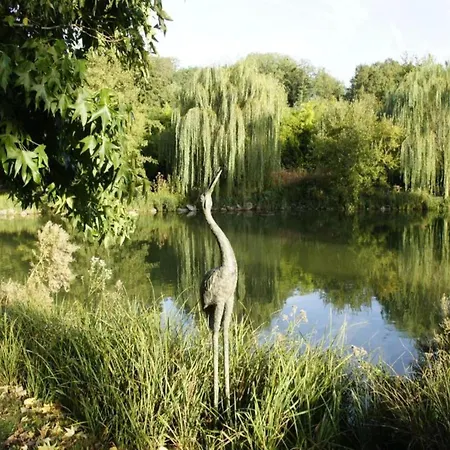 Historic Saint-aignan By