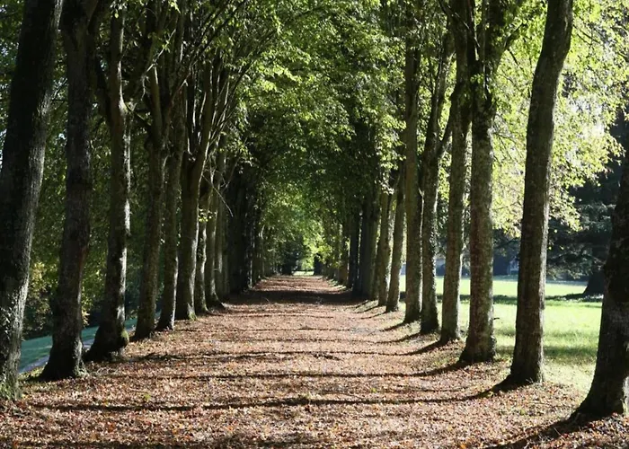 Historic Saint-aignan By Σπίτι διακοπών *