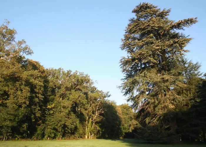 Σπίτι διακοπών Historic Saint-aignan By Saint-Aignan (Sarthe)