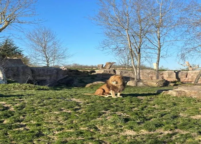 Historic Saint-aignan By * Saint-Aignan (Sarthe)