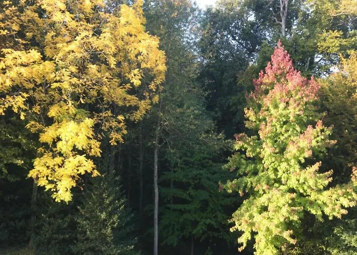 Σπίτι διακοπών Historic Saint-aignan By *